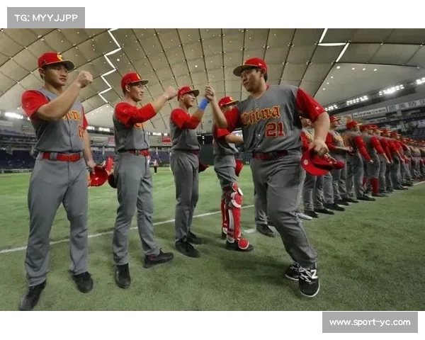 2025垒球新国标实施带动WBSC认证护具需求激增23%